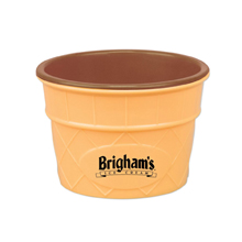 Ice Cream Cup