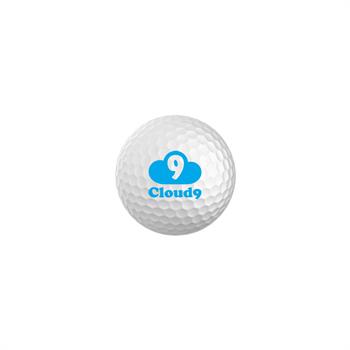 WL2135X - 2 PC Surlyn Competition Golf Balls