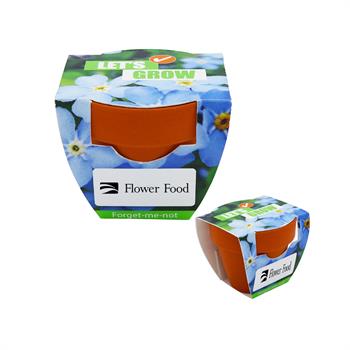 WL2376GROWX - Mini Terracotta Grow Kit - Let's Grow