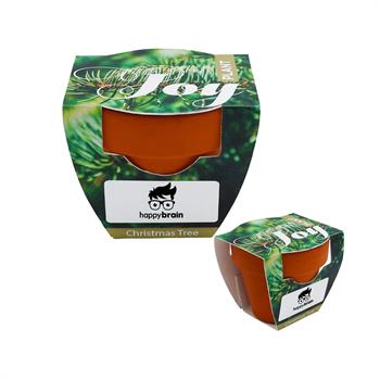 WL2376JOYX - Mini Terracotta Grow Kit - Plant Joy