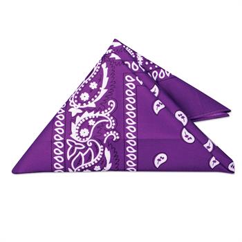 WP17L - Purple Bandana