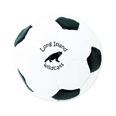 2" Soccer Ball Kickbag