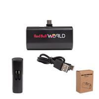 Dual Plug Power Bank