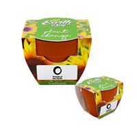 Mini Terracotta Grow Kit - Plant Change