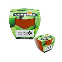 Mini Terracotta Grow Kit - Congrats