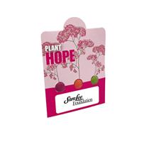 Triple Seed Ball Card - Bloom For The Cure